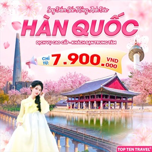 Tour Hàn Quốc Tết 2025: Seoul - Nami - Everland 